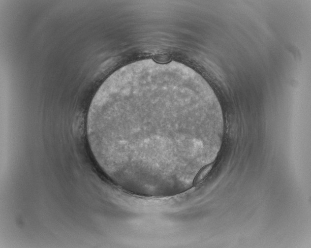 X0000115450036200911251316