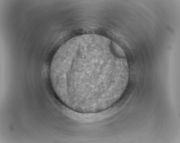 X0000115450038200911251316