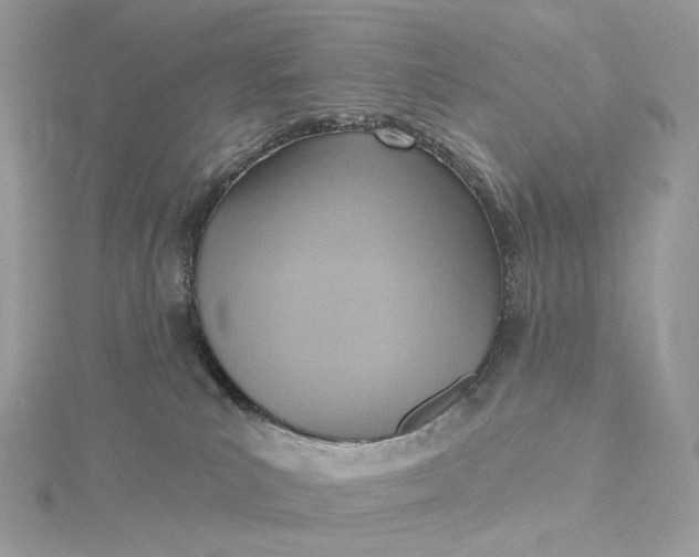 X0000115450039200911251316