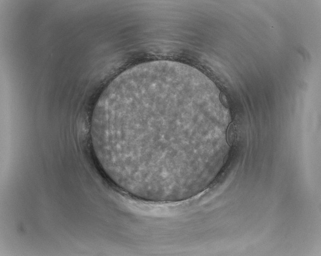 X0000115450040200911251316