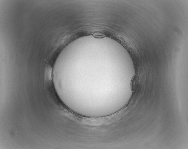 X0000115450041200911251316