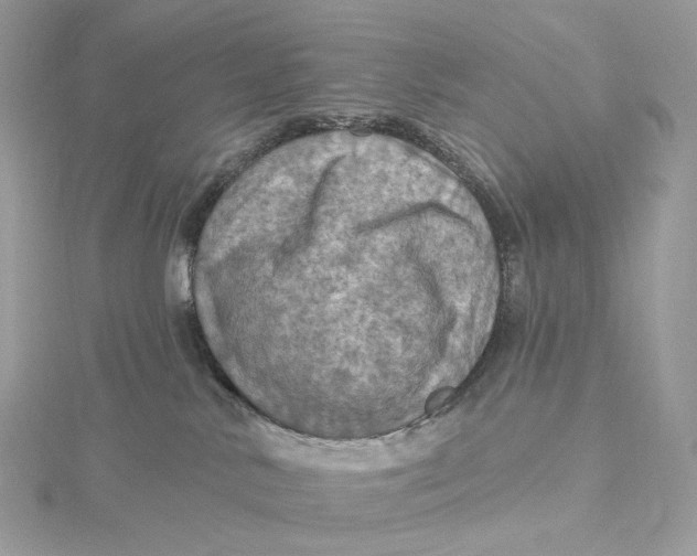 X0000115450042200911251316