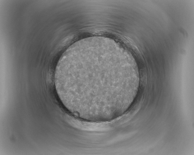 X0000115450044200911251316