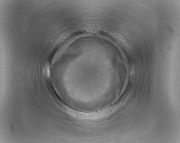 X0000115450046200911251316