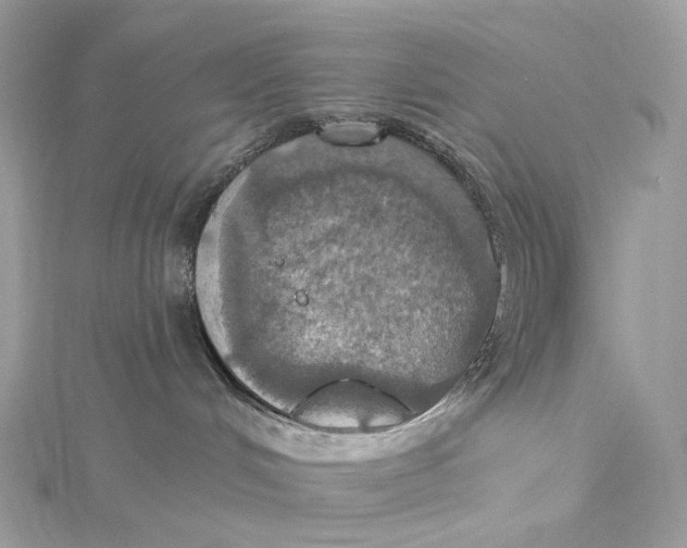 X0000115450048200911251316