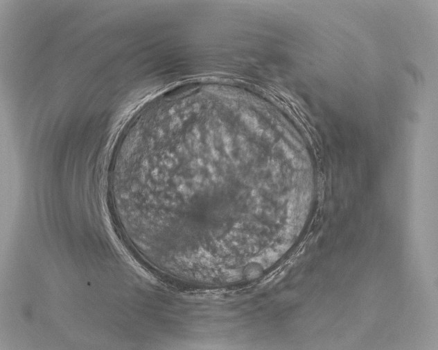 X0000115450049200911251315