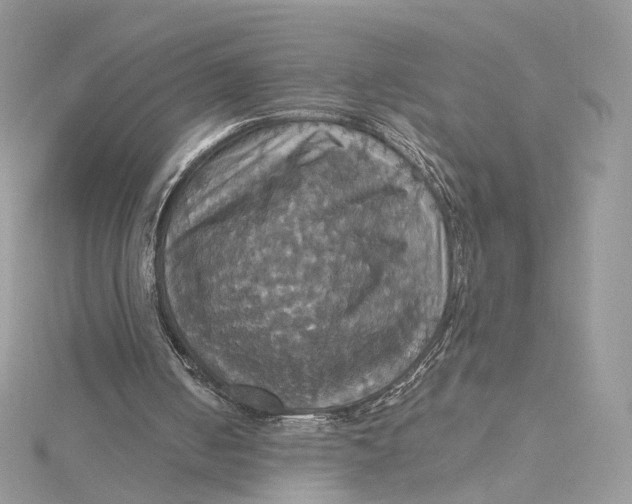 X0000115450050200911251315