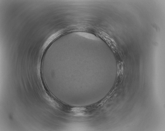 X0000115450051200911251315