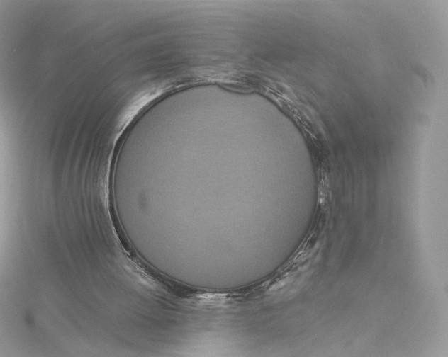 X0000115450052200911251315