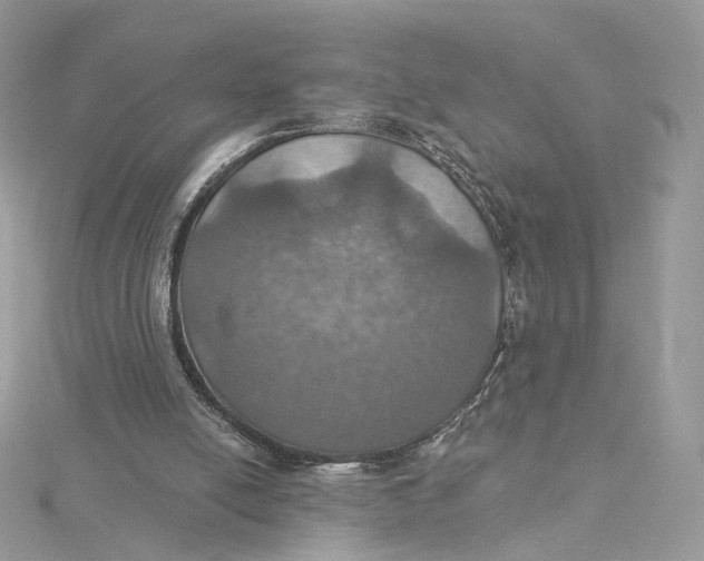 X0000115450054200911251315