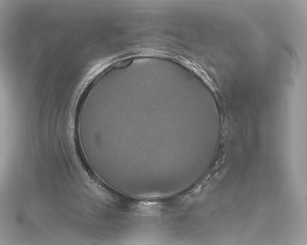 X0000115450055200911251315