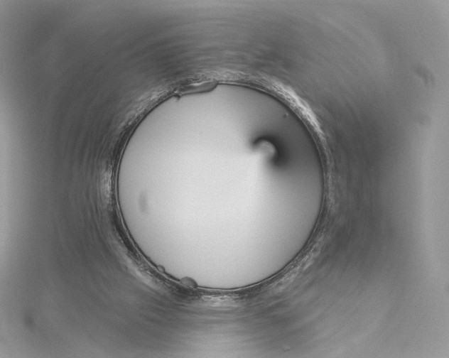 X0000115450057200911251315