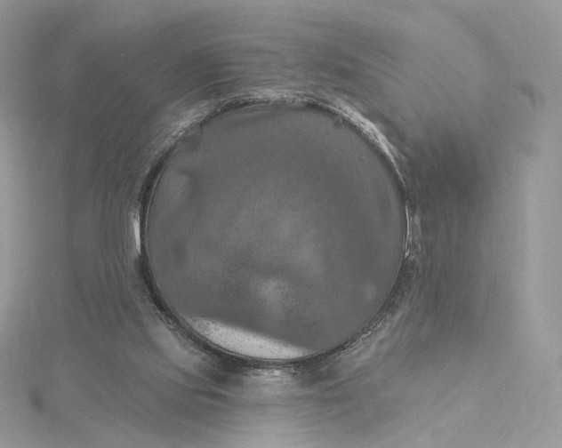 X0000115450061200911251315