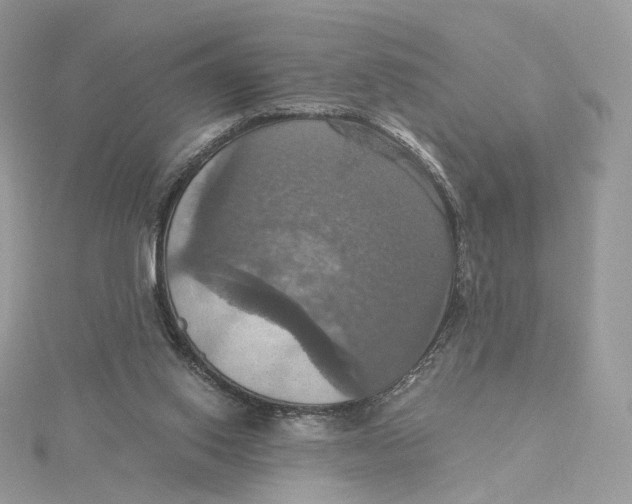 X0000115450062200911251315