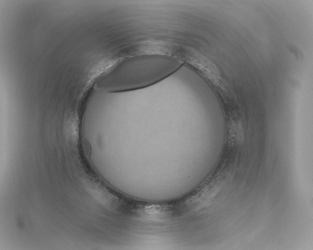 X0000115450064200911251315