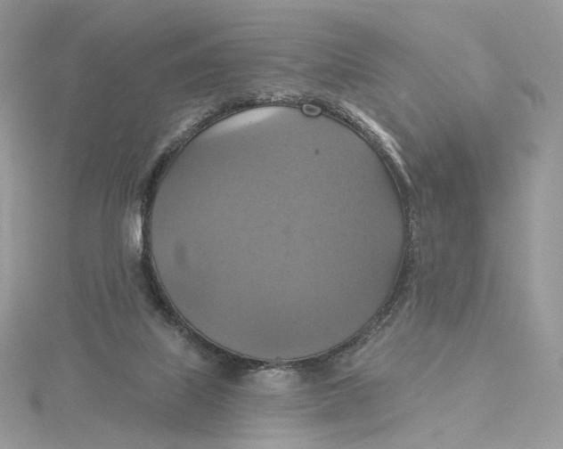 X0000115450067200911251315