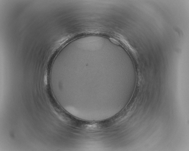 X0000115450068200911251315