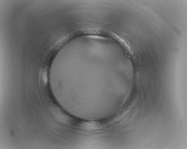 X0000115450069200911251315