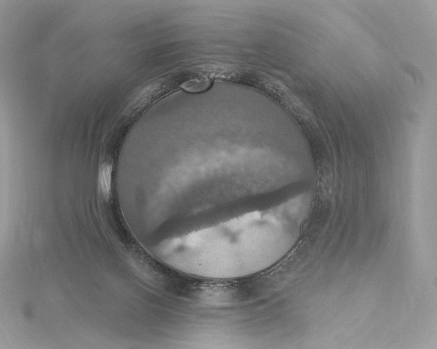 X0000115450070200911251315