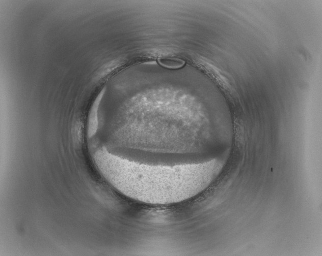 X0000115450071200911251315