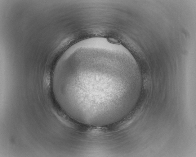 X0000115450072200911251315