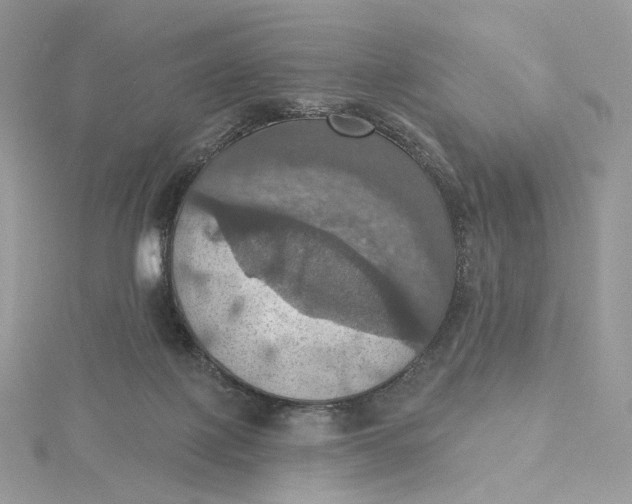 X0000115450075200911251316