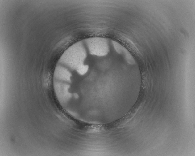 X0000115450077200911251316