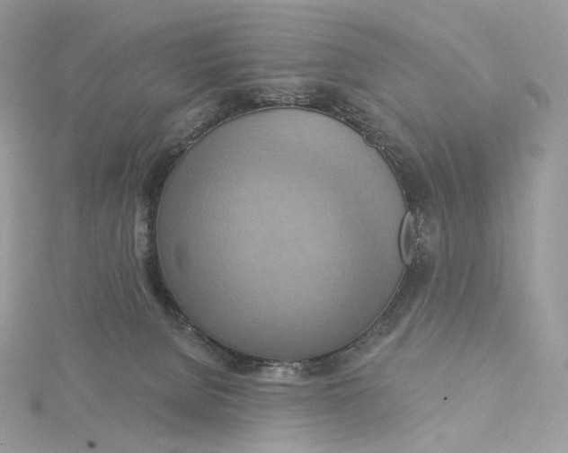 X0000115450080200911251316