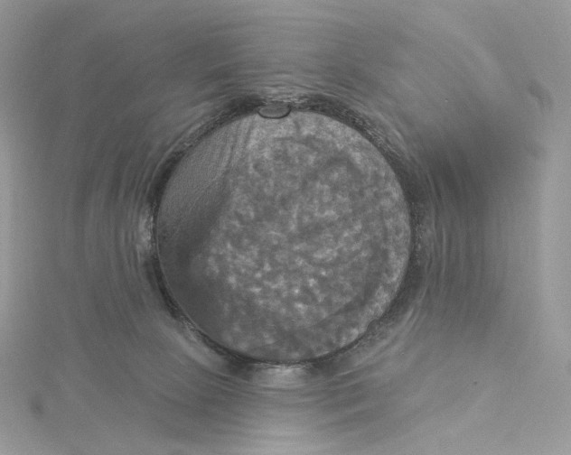 X0000115450081200911251316