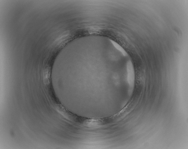 X0000115450082200911251316