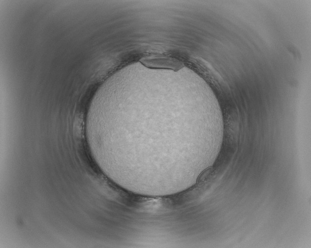 X0000115450083200911251316