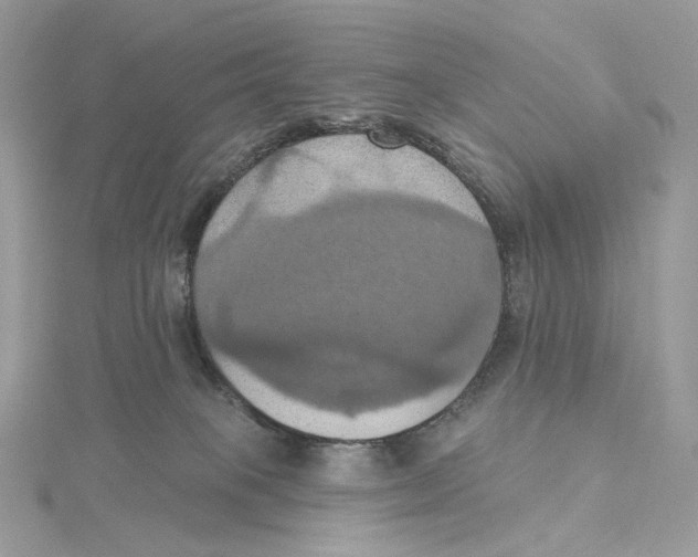 X0000115450085200911251316