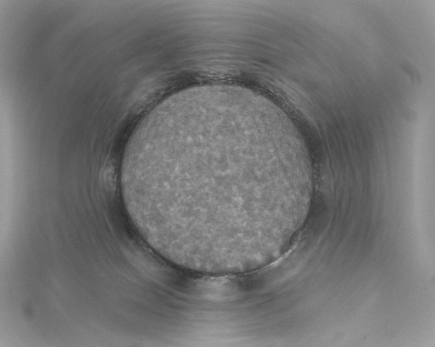 X0000115450086200911251316