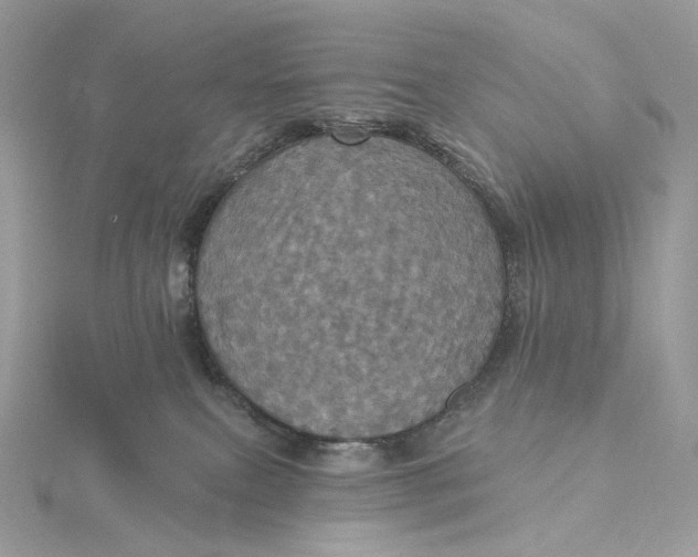 X0000115450087200911251316