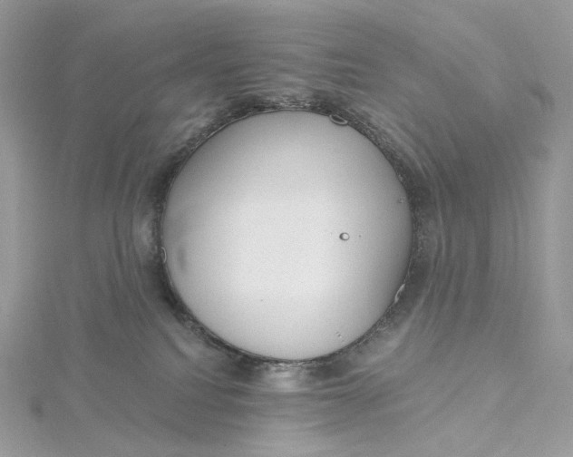 X0000115450088200911251316