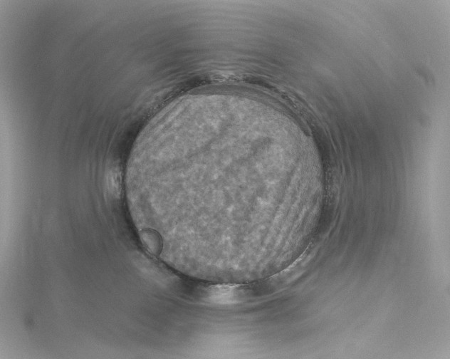 X0000115450090200911251316