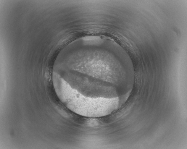 X0000115450091200911251316