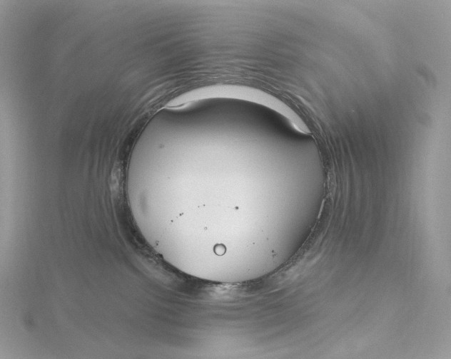 X0000115450092200911251316