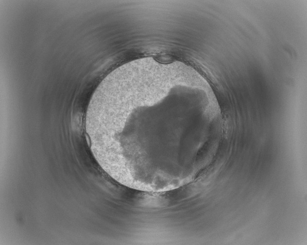 X0000115450093200911251316