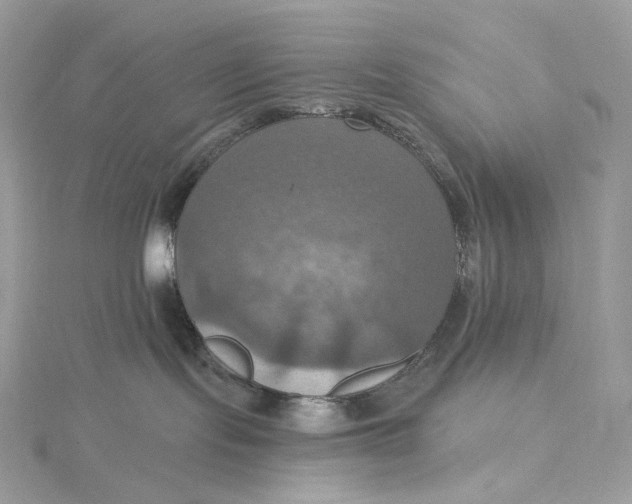 X0000115450095200911251316