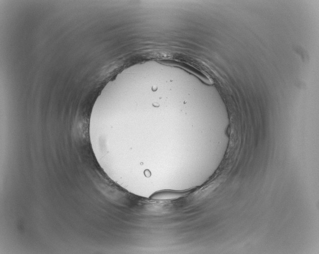 X0000115450096200911251316