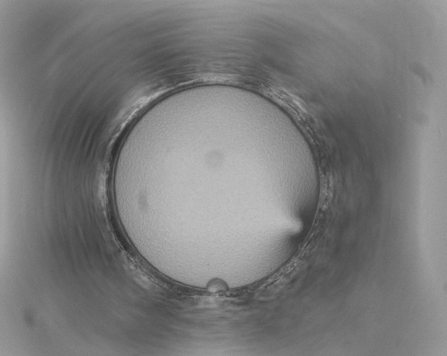 X0000115450098200911251315