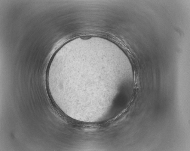 X0000115450099200911251315