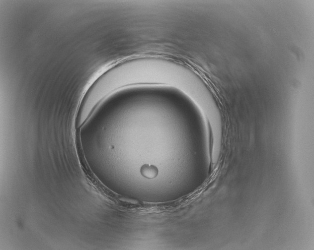 X0000115450100200911251315