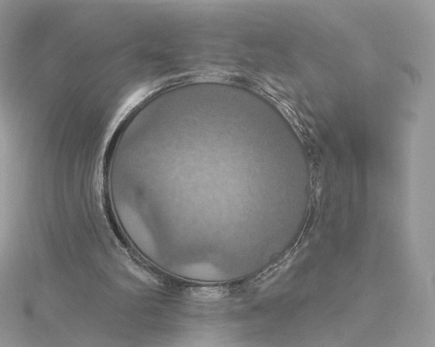 X0000115450102200911251315