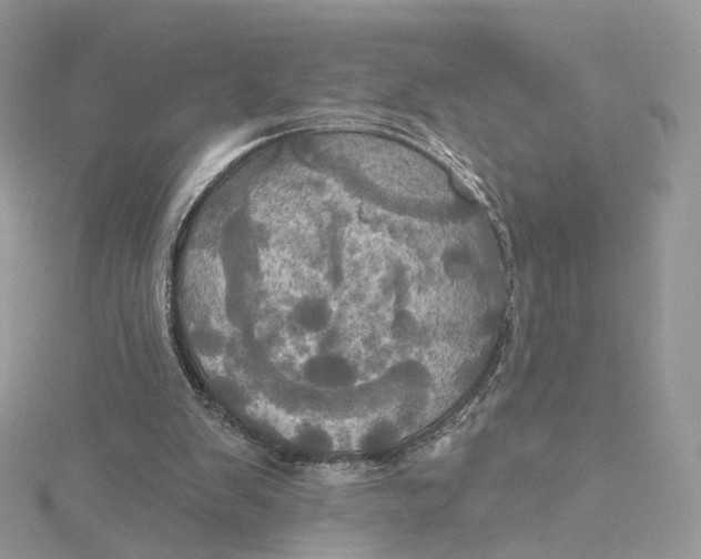 X0000115450103200911251315