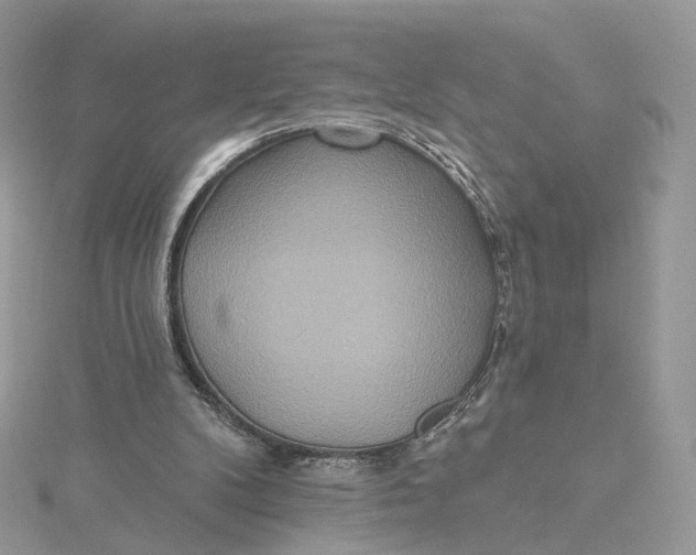 X0000115450104200911251315