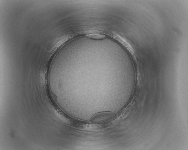 X0000115450105200911251315