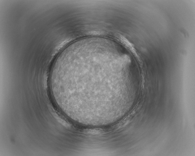 X0000115450106200911251315