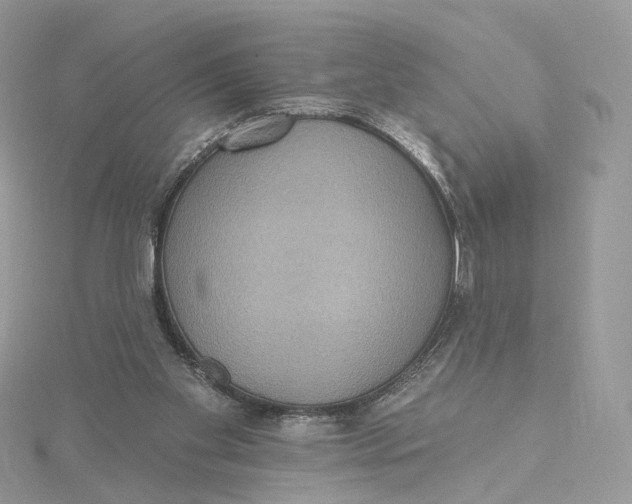 X0000115450109200911251315